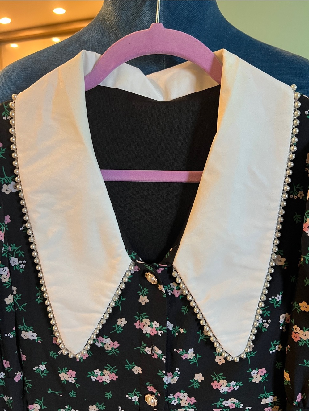 Black Floral Button-Front Dress with White Peter Pan Collar - Picture 3 of 5